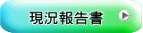 現況報告書